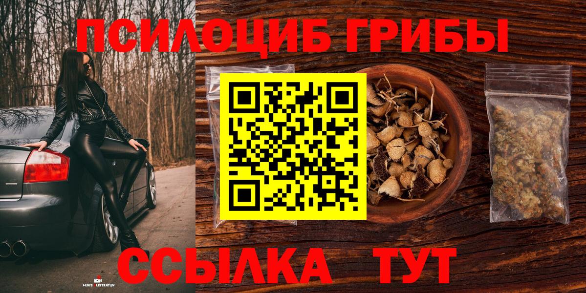 Псилоцибиновые грибы GOLDEN TEACHER Домодедово